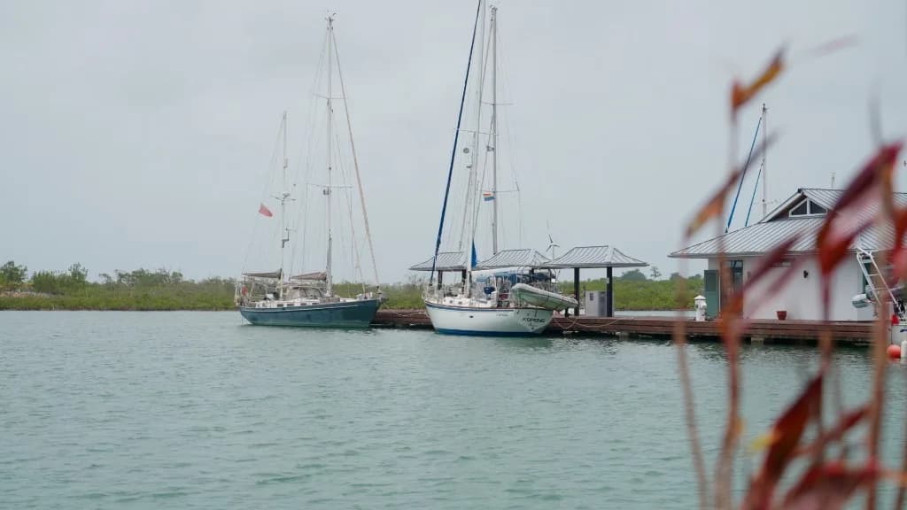 Sailboats along the Red Rock Marina pier with mangroves beyond