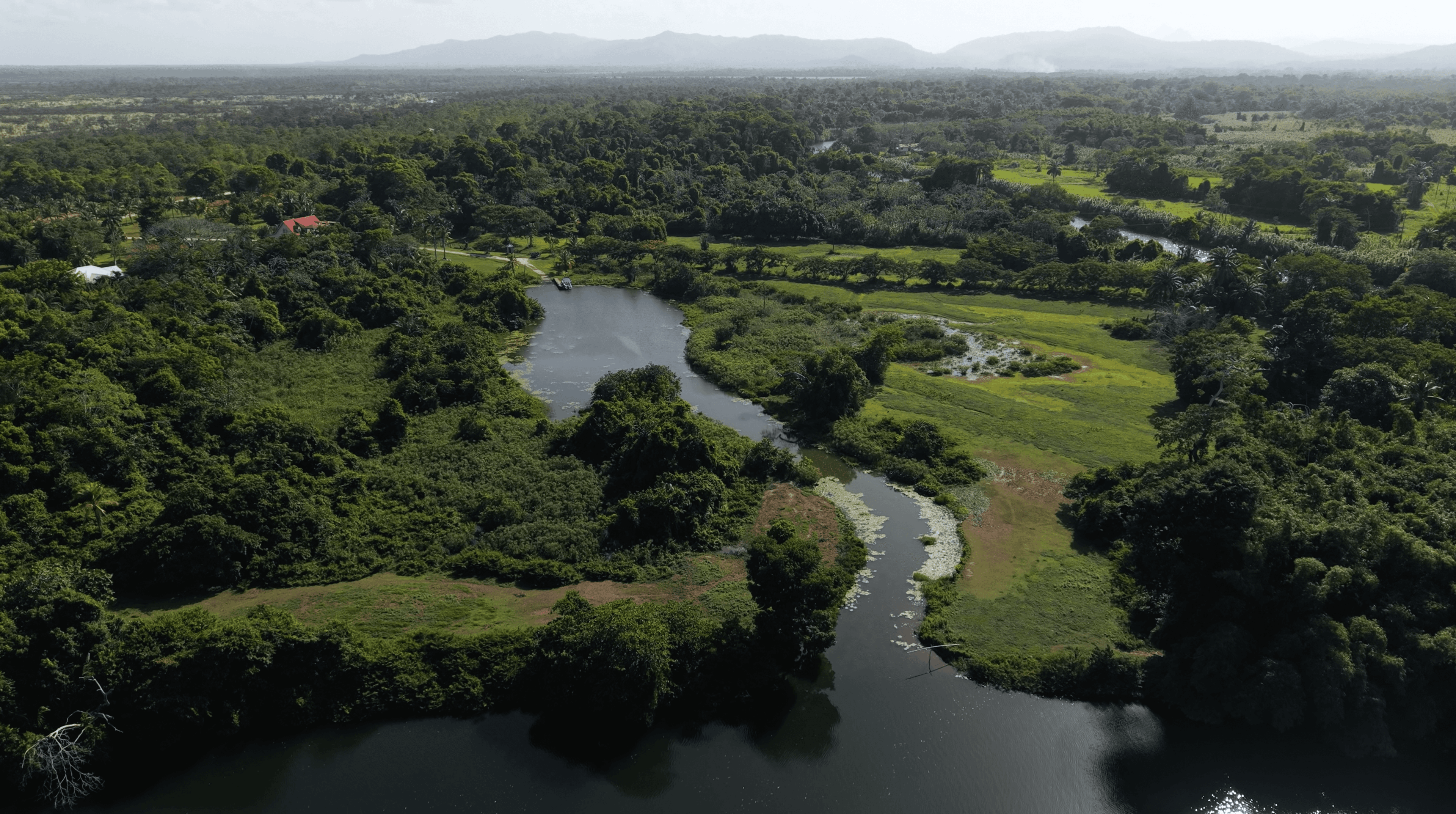The Island Lots